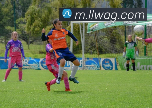 ag官网APP 封面图